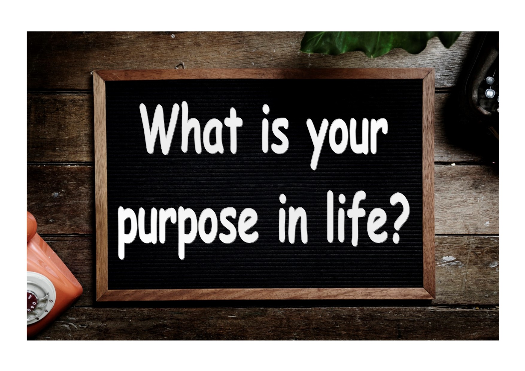 What's the Purpose of Life?